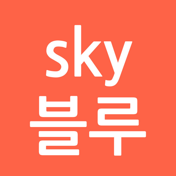 sky블루