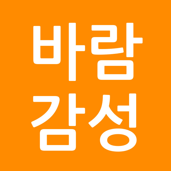 바람감성