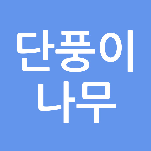 단풍이나무