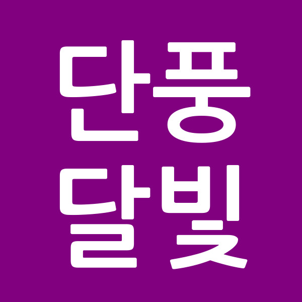 단풍달빛