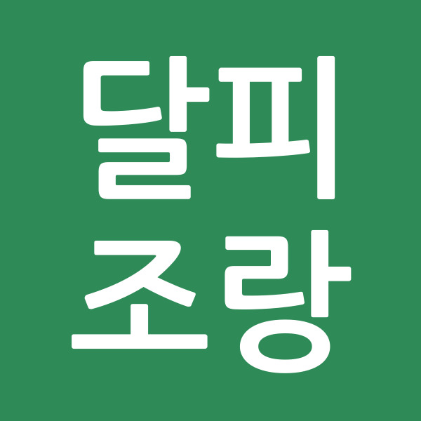 달피조랑