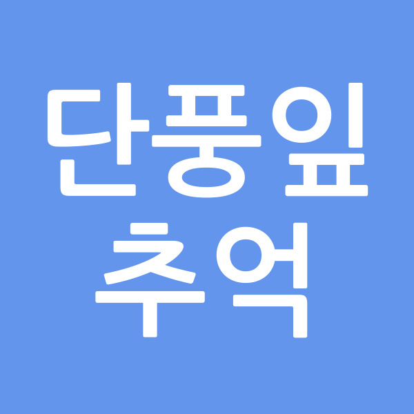 단풍잎추억