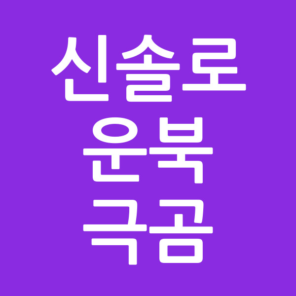 신솔로운북극곰