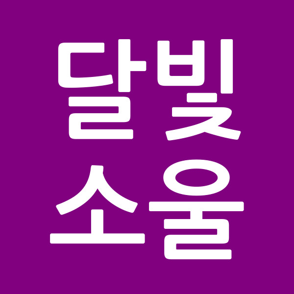 달빛소울