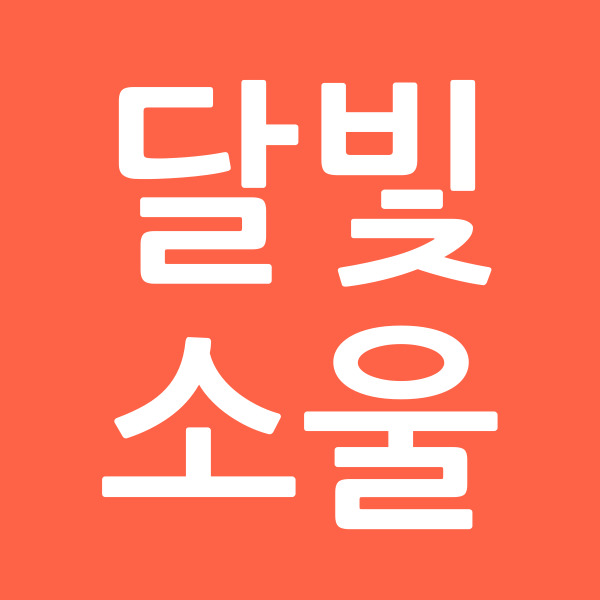 달빛소울