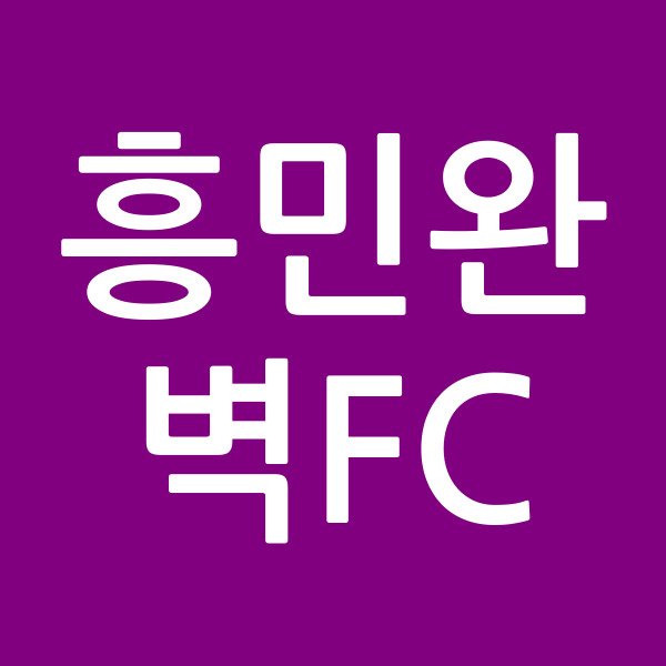 흥민완벽FC