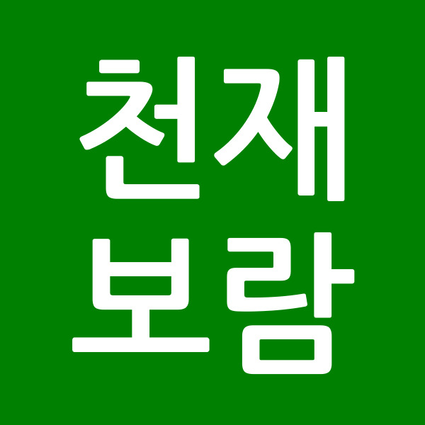천재보람