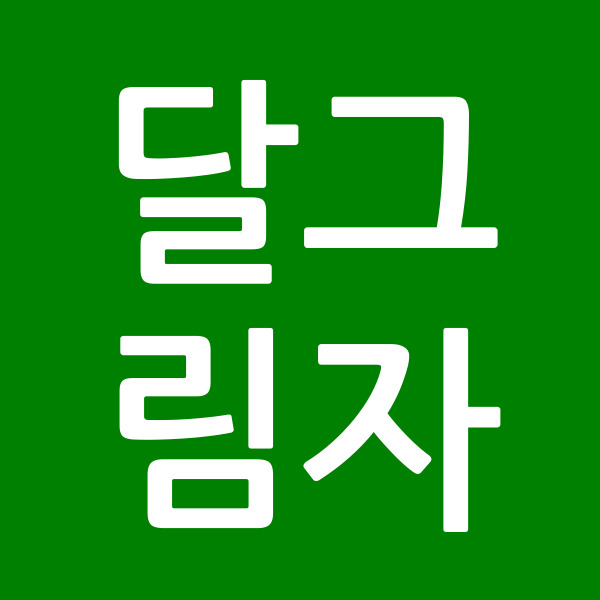 달그림자