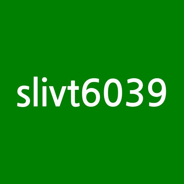 slivt6039