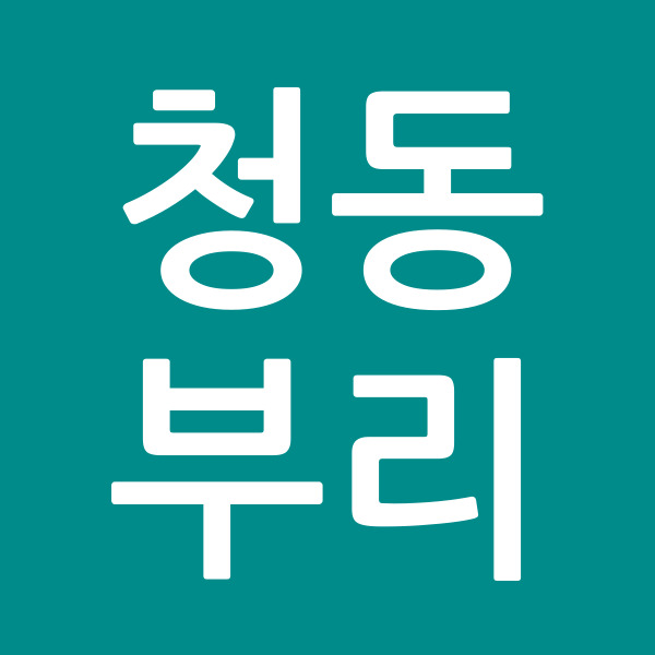 청동부리