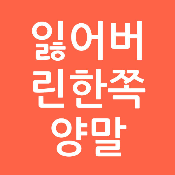 잃어버린한쪽양말