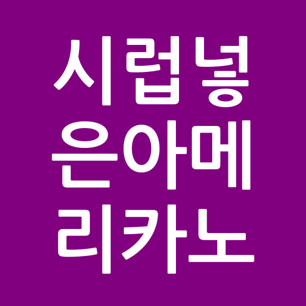 시럽넣은아메리카노