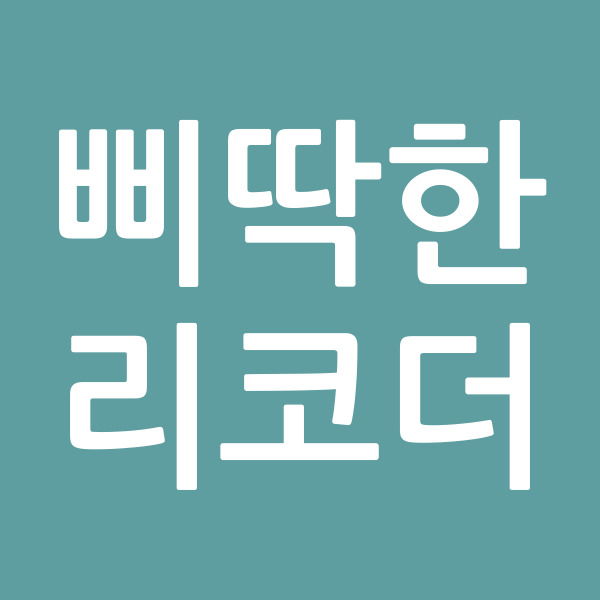 삐딱한리코더