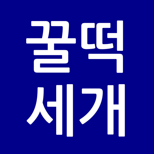꿀떡세개