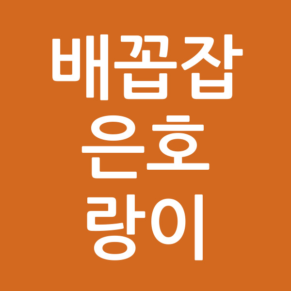 배꼽잡은호랑이