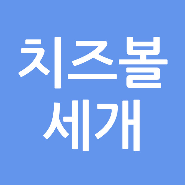 치즈볼세개