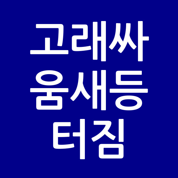 고래싸움새등터짐
