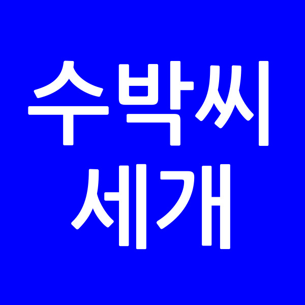 수박씨세개