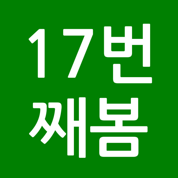 17번째봄