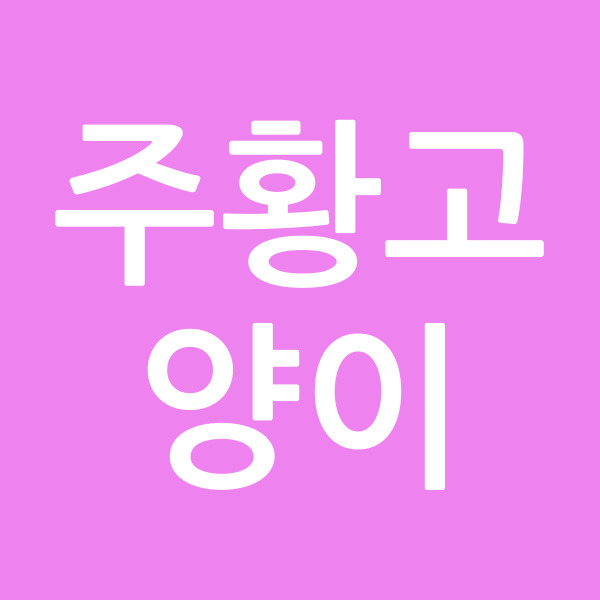 주황고양이