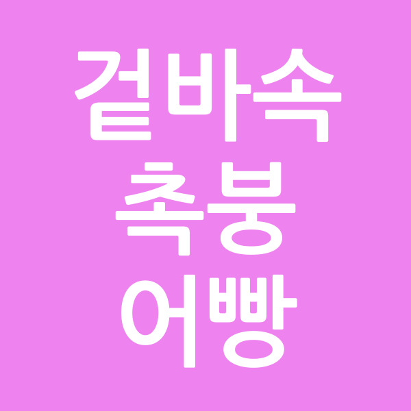 겉바속촉붕어빵