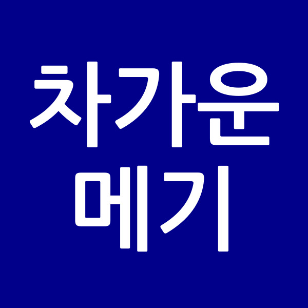차가운메기