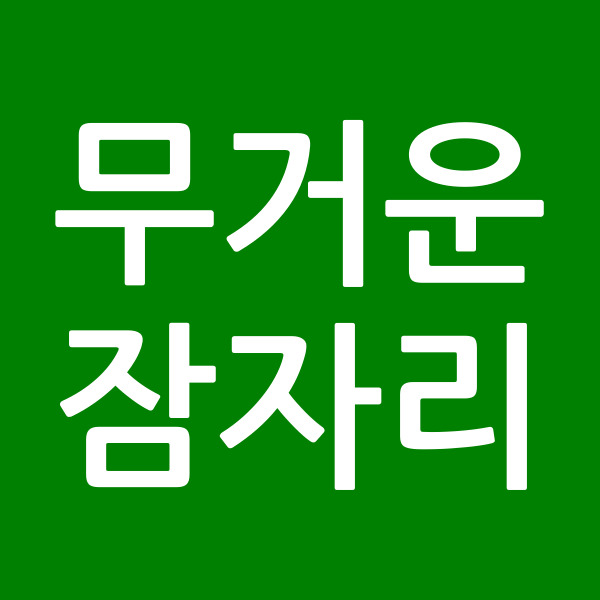 무거운잠자리