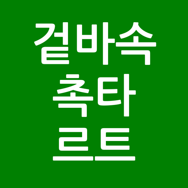 겉바속촉타르트