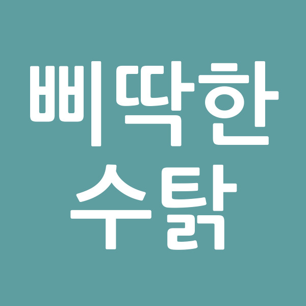 삐딱한수탉