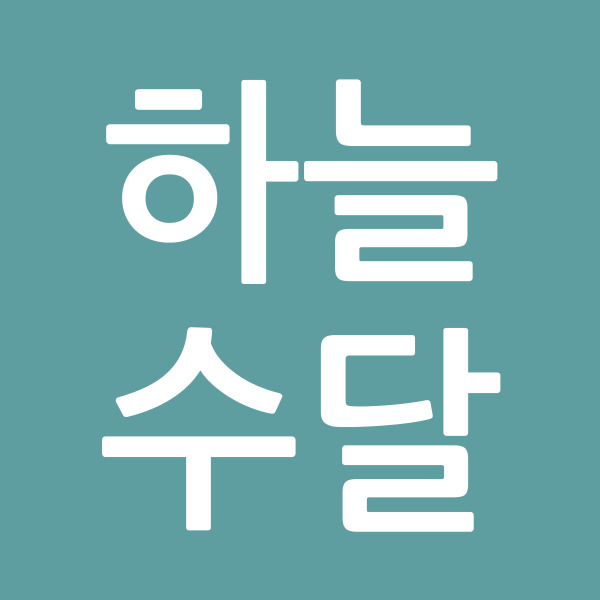 하늘수달