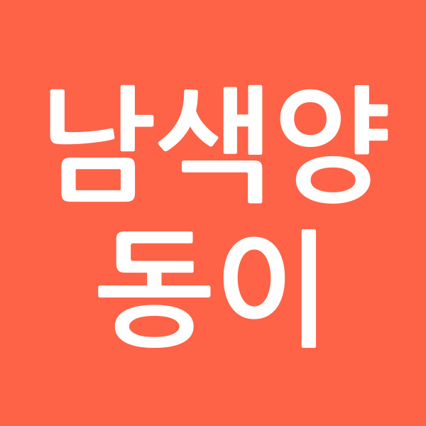 남색양동이