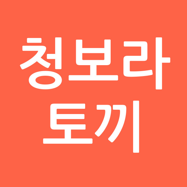 청보라토끼