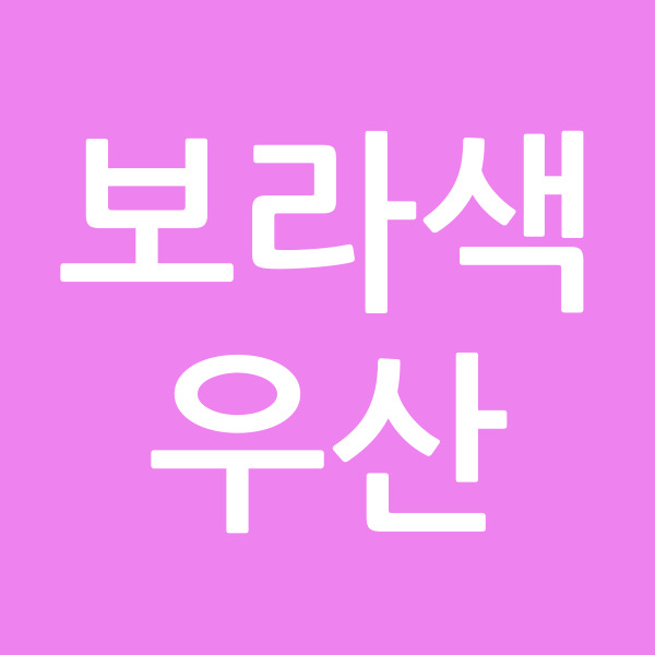 보라색우산