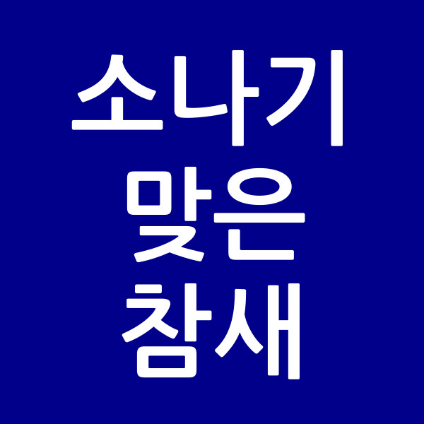 소나기맞은참새