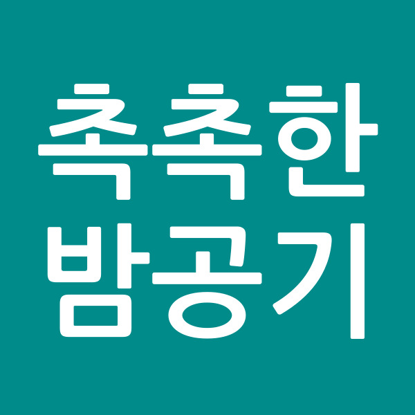 촉촉한밤공기