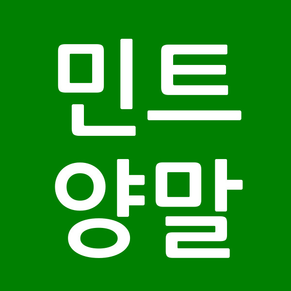 민트양말