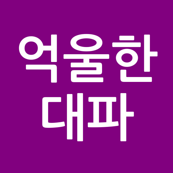억울한대파