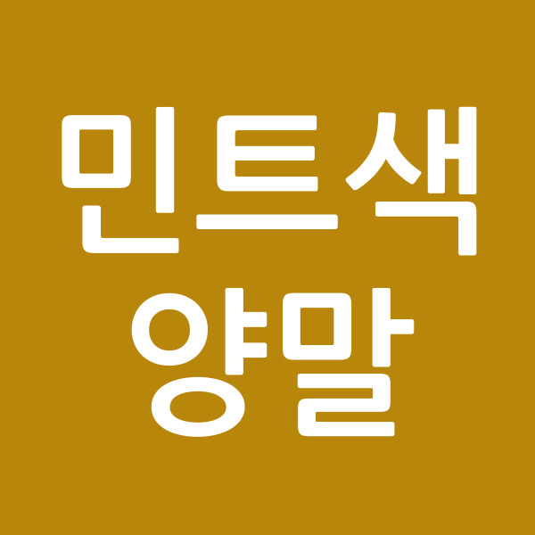 민트색양말