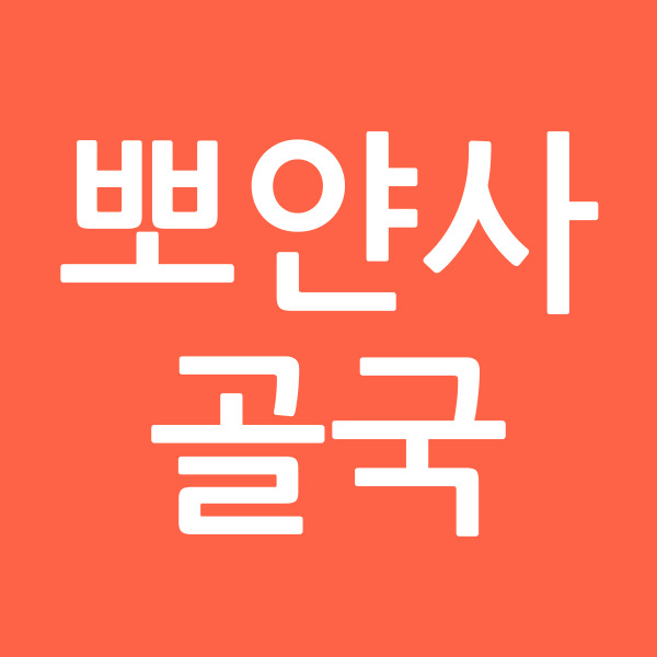 뽀얀사골국