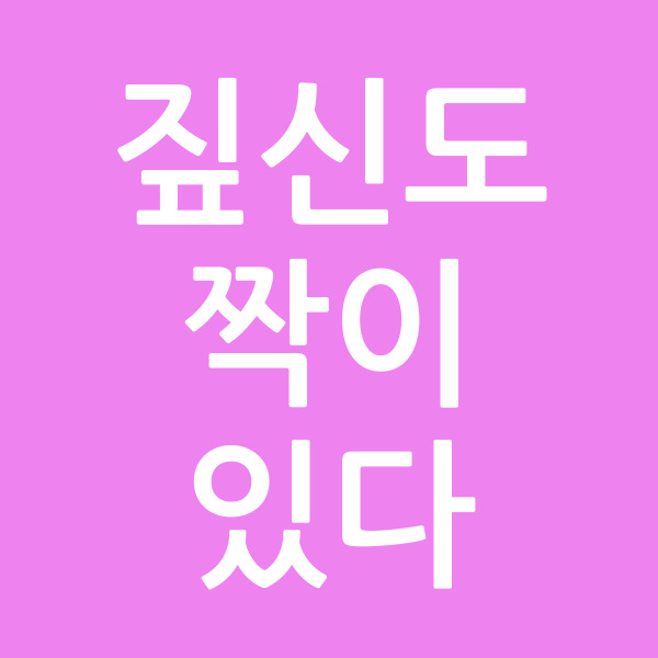 짚신도짝이있다