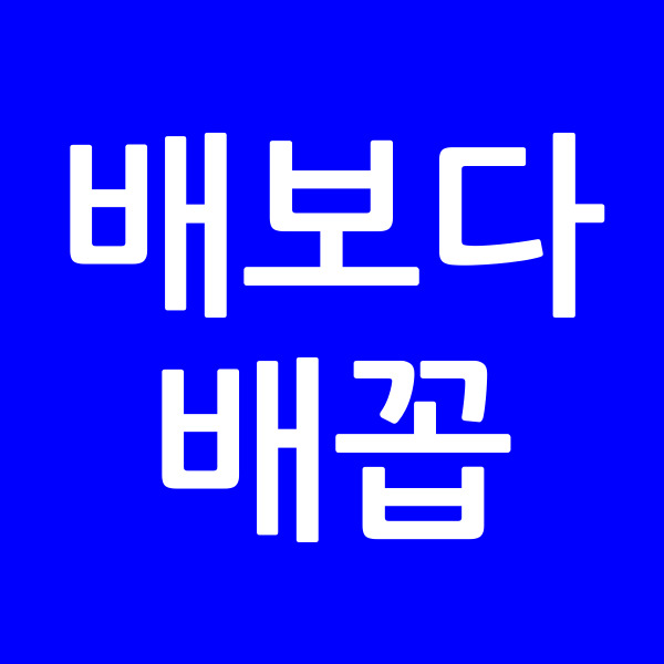 배보다배꼽