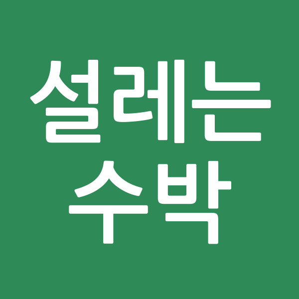 설레는수박