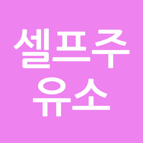 셀프주유소
