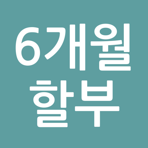 6개월할부