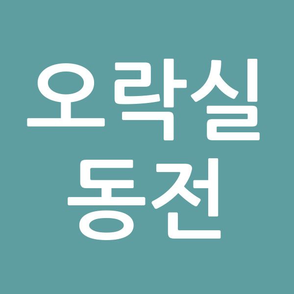 오락실동전