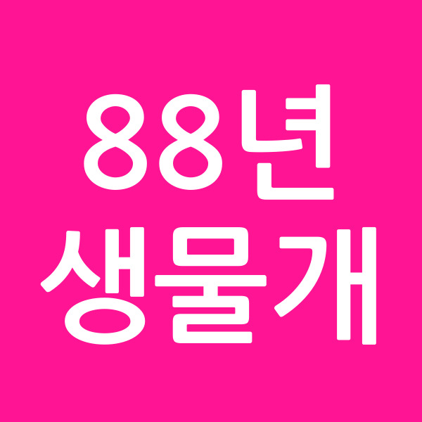 88년생물개