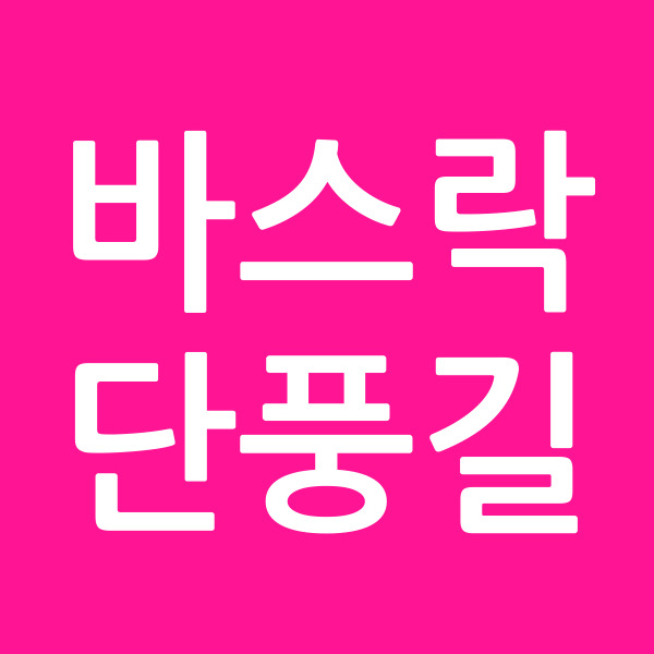 바스락단풍길
