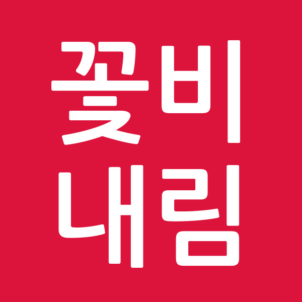꽃비내림