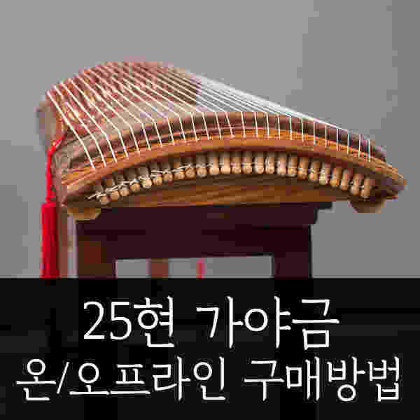 25현 가야금 어디에서 살까? : 온라인vs오프라인 구매팁!