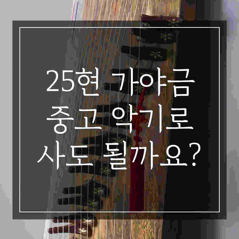 25현 가야금 구매 : 25현 가야금 중고로 사도 될까요?